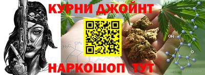 крисы Дубна