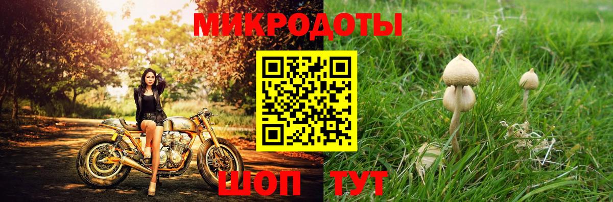 Галлюциногенные грибы ЛСД Ливны